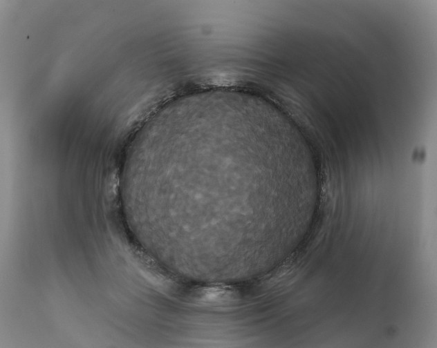 X0000111820555200908131525