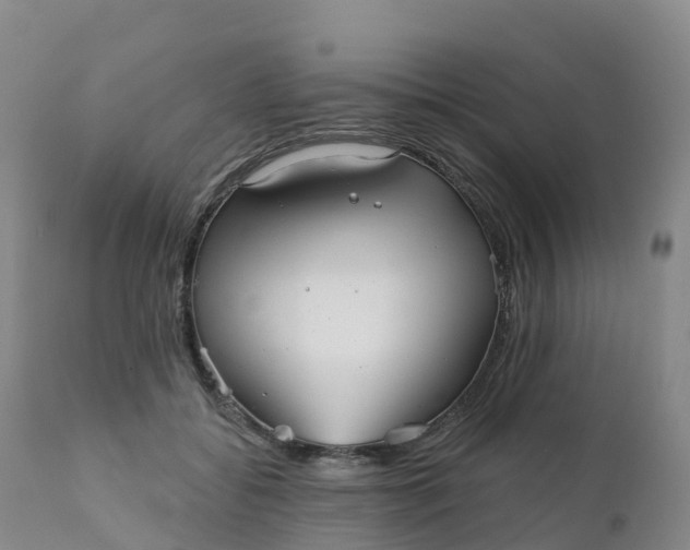 X0000111820556200908131525