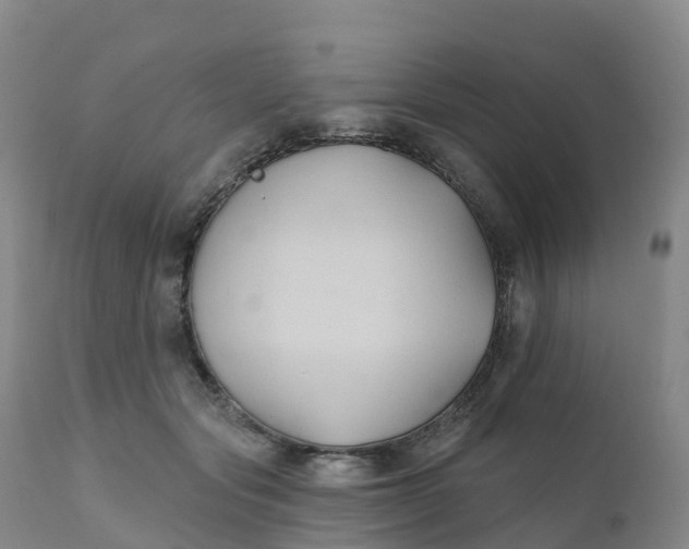 X0000111820557200908131525