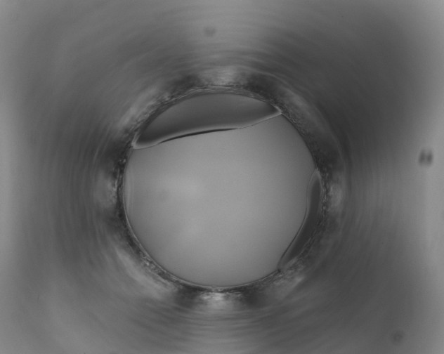 X0000111820558200908131525