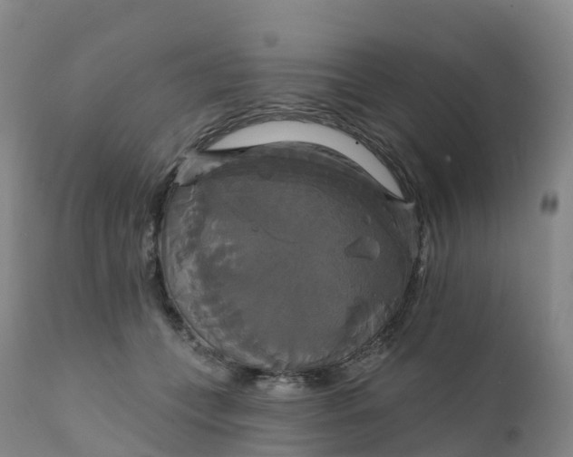 X0000111820559200908131525