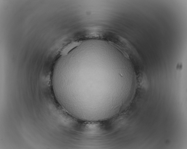 X0000111820560200908131525