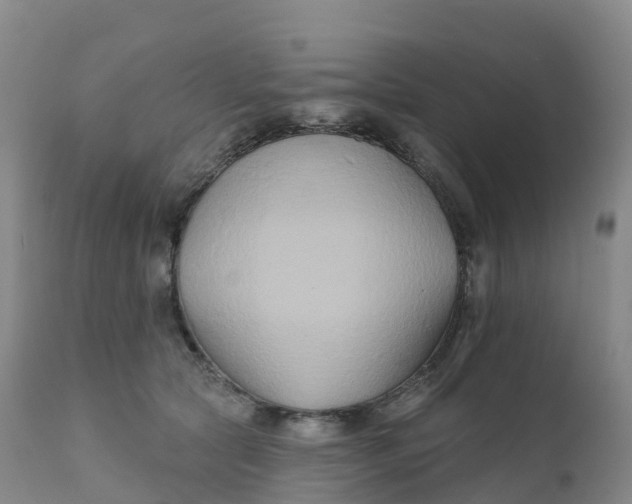 X0000111820561200908131525