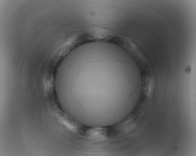 X0000111820563200908131525