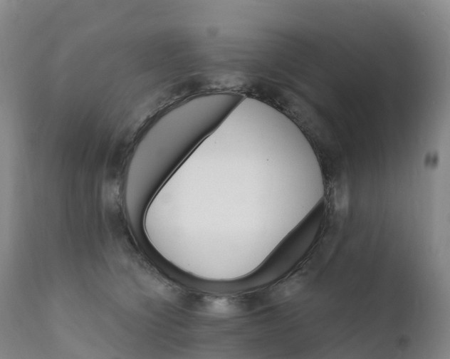 X0000111820564200908131525