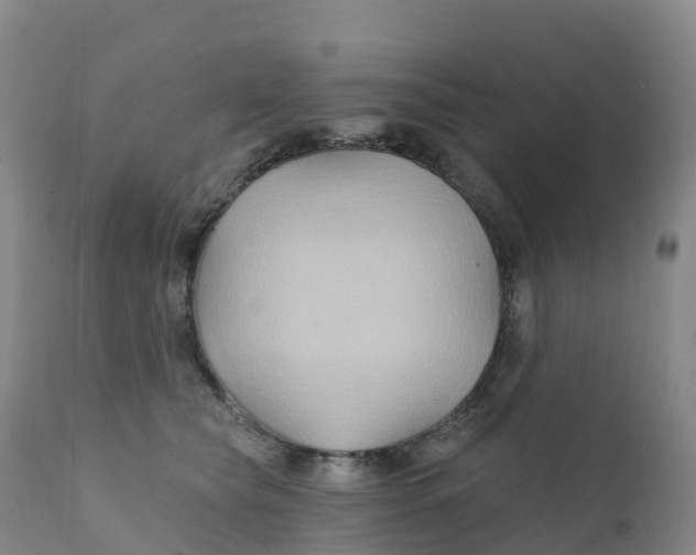 X0000111820565200908131525