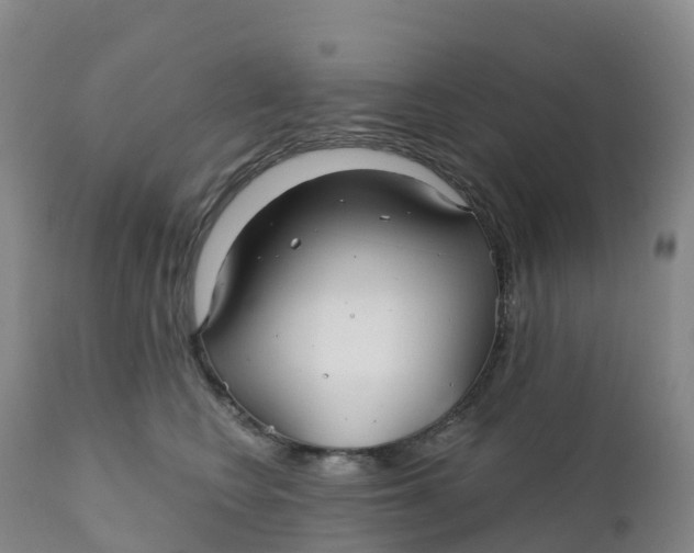 X0000111820566200908131525