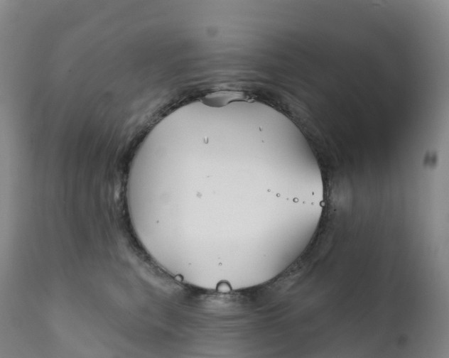 X0000111820567200908131525