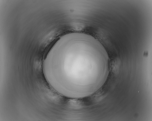 X0000111820568200908131525