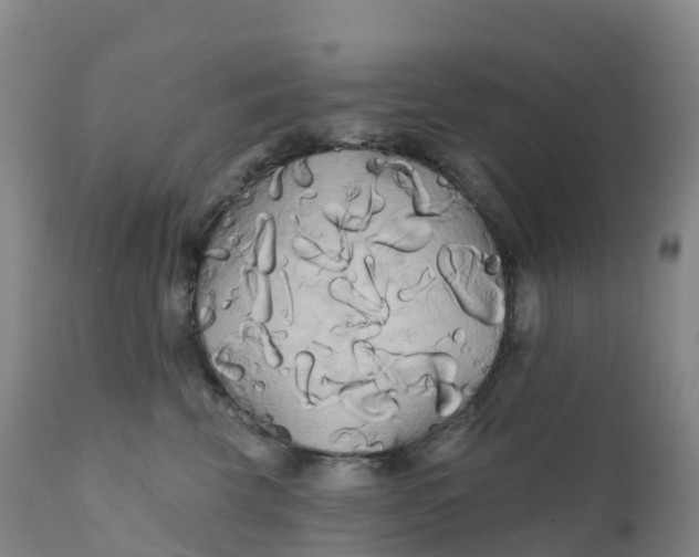 X0000111820569200908131525