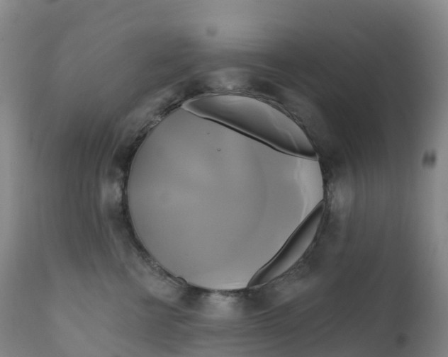 X0000111820570200908131525