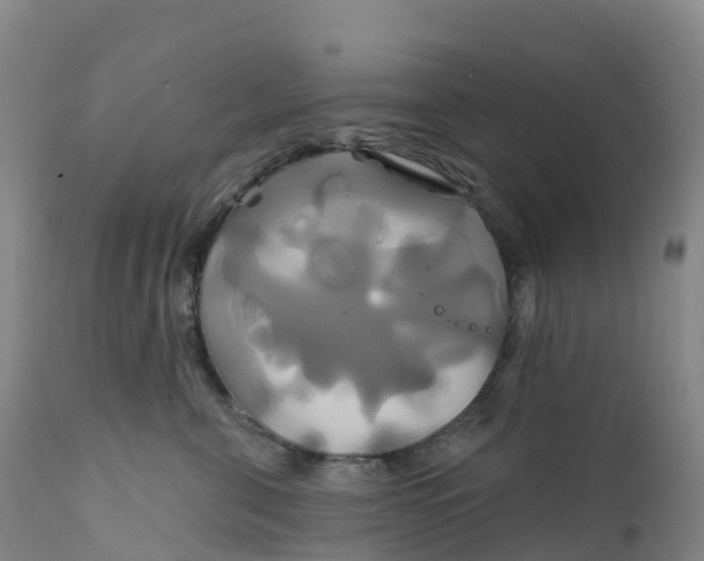 X0000111820571200908131525