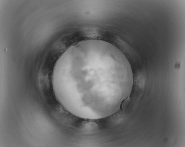 X0000111820572200908131525