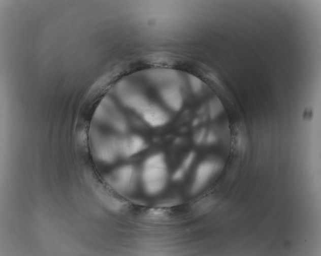 X0000111820573200908131525