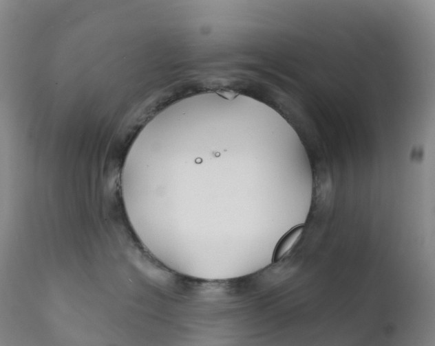 X0000111820574200908131525