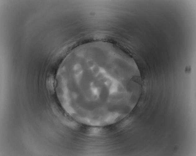 X0000111820575200908131526