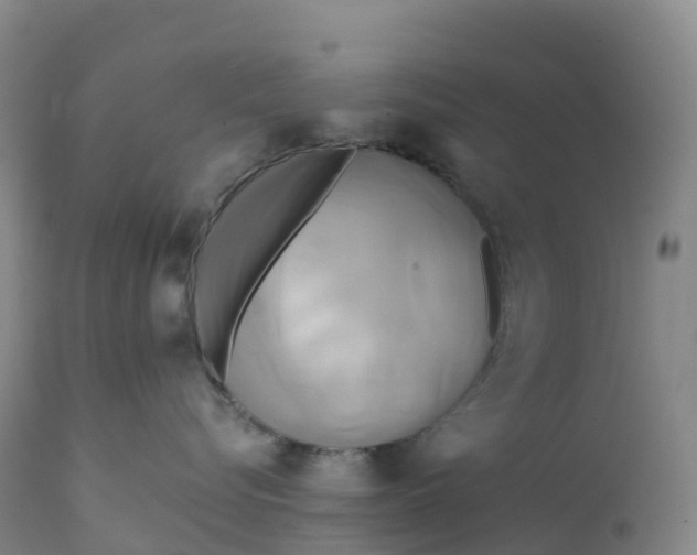 X0000111820576200908131526