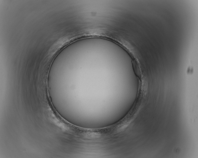 X0000111820577200908131525