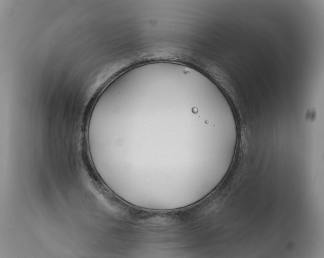 X0000111820578200908131525