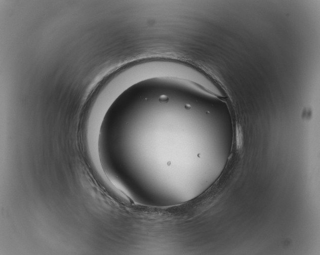 X0000111820579200908131525