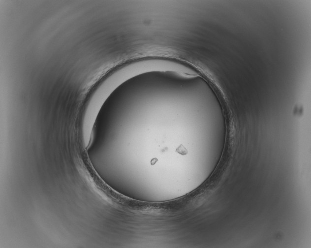 X0000111820581200908131525