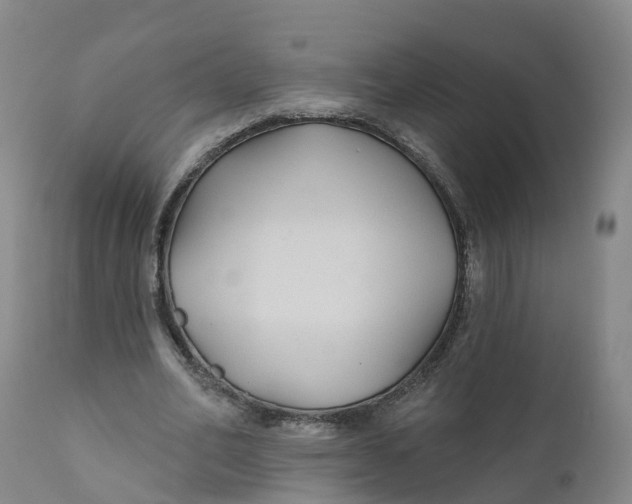 X0000111820582200908131525