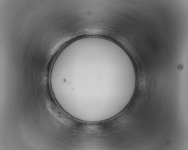 X0000111820583200908131525