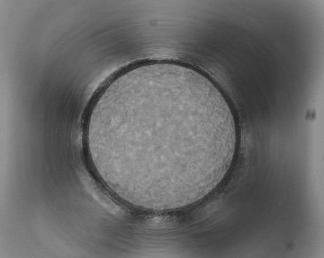 X0000111820584200908131525