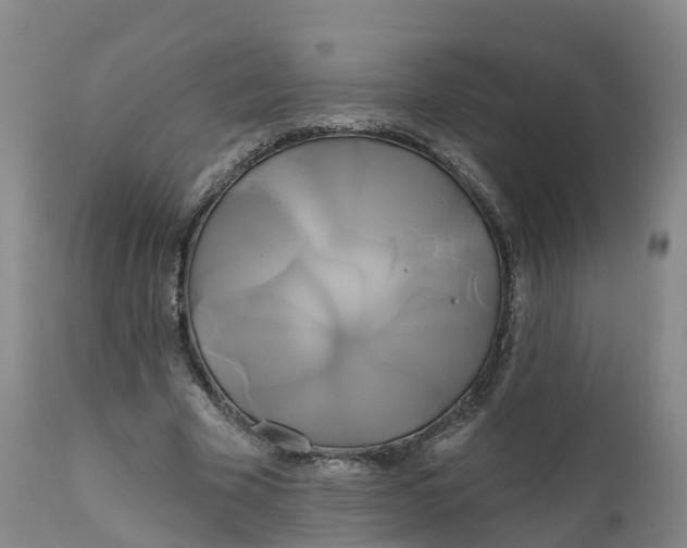 X0000111820585200908131525