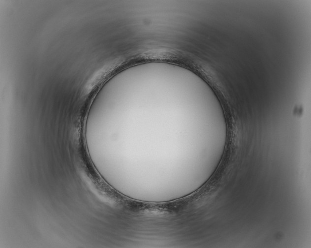 X0000111820586200908131525