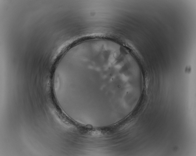 X0000111820588200908131525