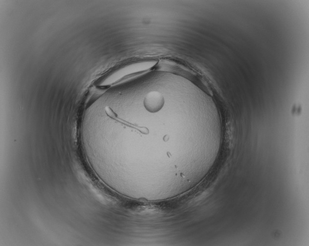 X0000111820589200908131525