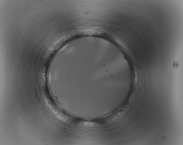 X0000111820590200908131525