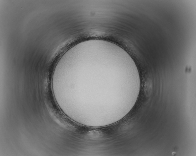 X0000111820591200908131525