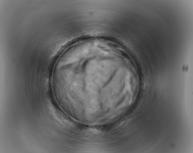 X0000111820592200908131525