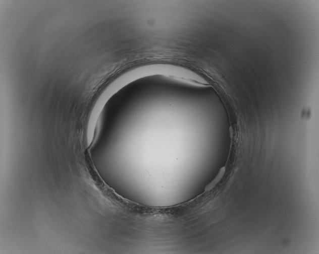 X0000111820593200908131525