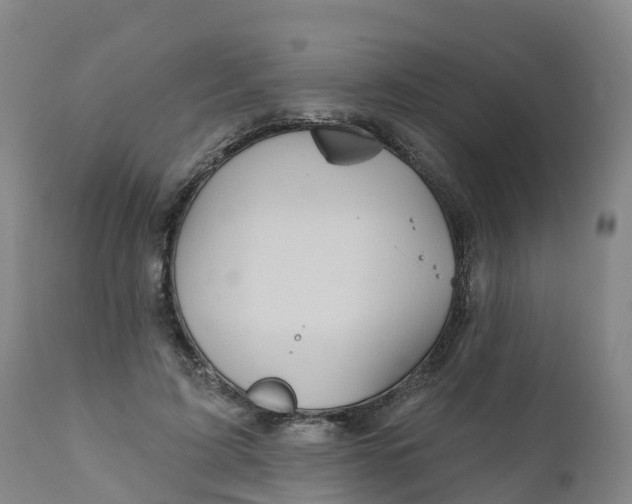 X0000111820595200908131525