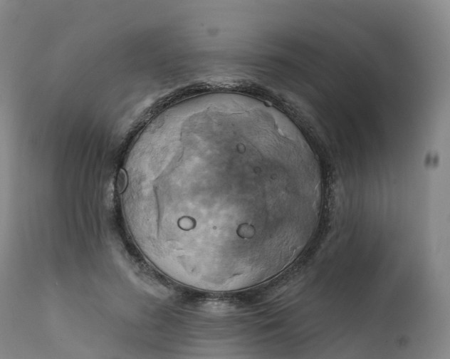 X0000111820596200908131525