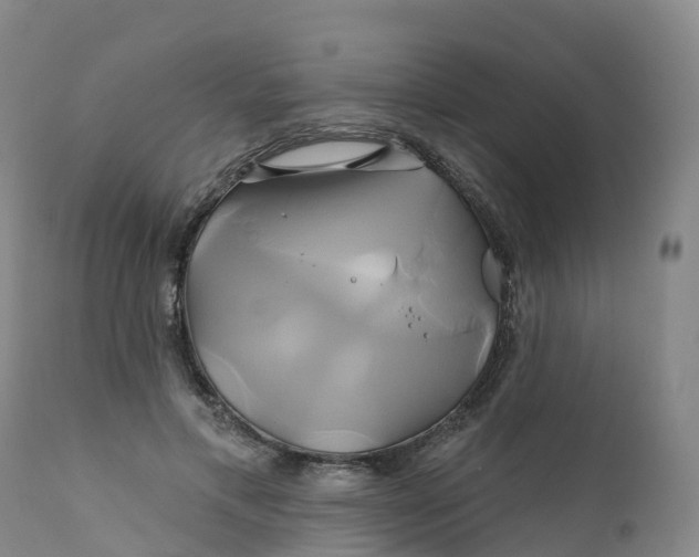 X0000111820597200908131525