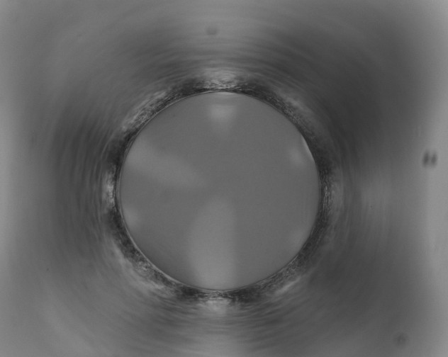 X0000111820598200908131525