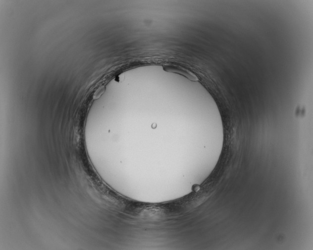 X0000111820599200908131525