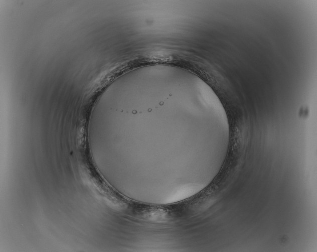 X0000111820600200908131525