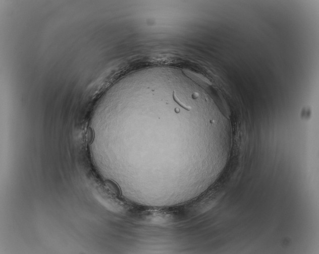 X0000111820601200908131525