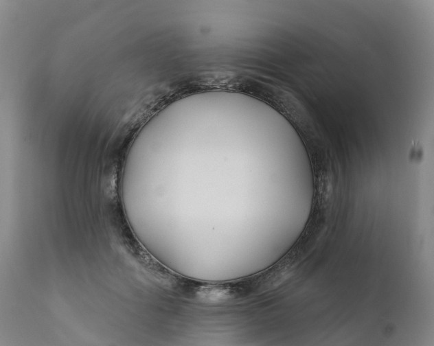 X0000111820602200908131525