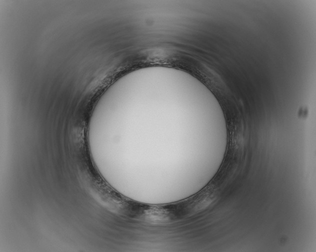 X0000111820603200908131525