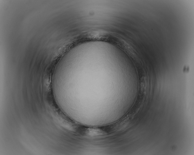 X0000111820605200908131524