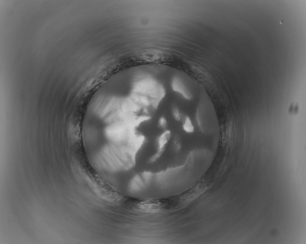 X0000111820606200908131524