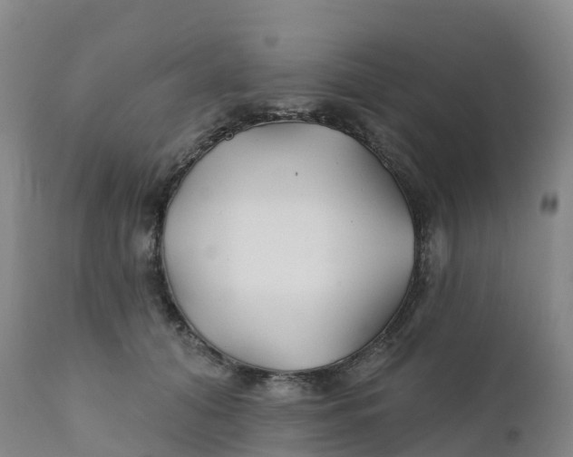 X0000111820608200908131524