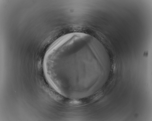 X0000111820610200908131524