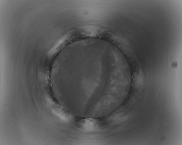 X0000111820612200908131524